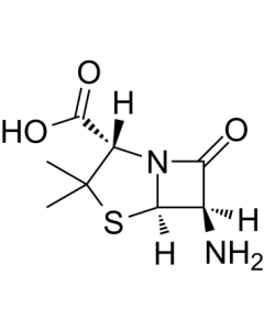 6-Aminopenicillanic acid