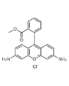 Rhodamine 123