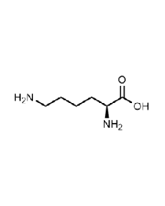 L-Lysin