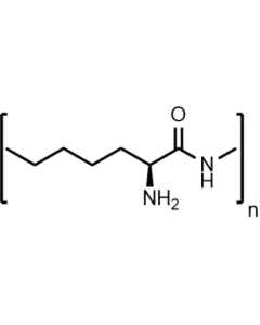 ε-Poly-L-lysine