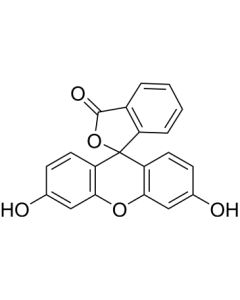 Fluorescein