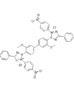 Nitrotetrazolium blau Chlorid