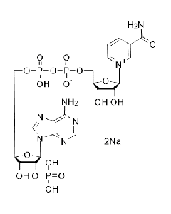 β-Nicotinamid adenine dinucleotide Phosphat disodium salt