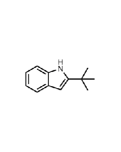2-(tert-Butyl)-1H-Indol