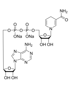 β-Nicotinamid adenine dinucleotide disodium salt Hydrat