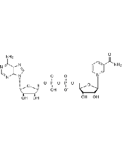 β-Nicotinamid adenine dinucleotide Hydrat