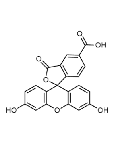 5-Carboxyfluorescein