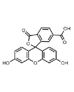 6-Carboxyfluorescein