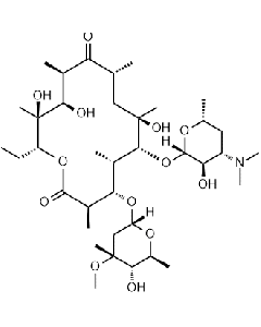 Erythromycin