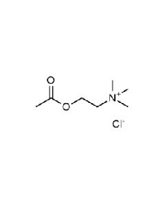 Acetylcholine Chlorid
