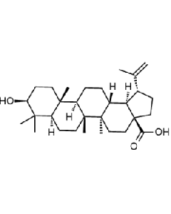 Betulinsäure acid