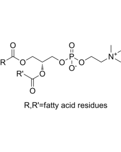 Lecithin from soybean