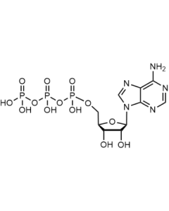 Adenosine 5′-triphosphate hydrate