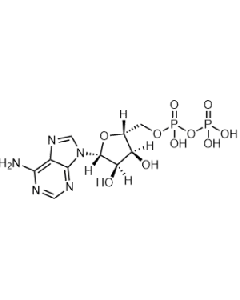 Adenosin 5′-diphosphate